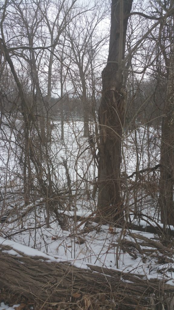 Indiana